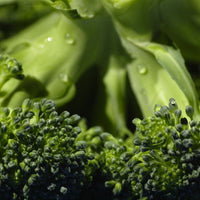 Broccoli