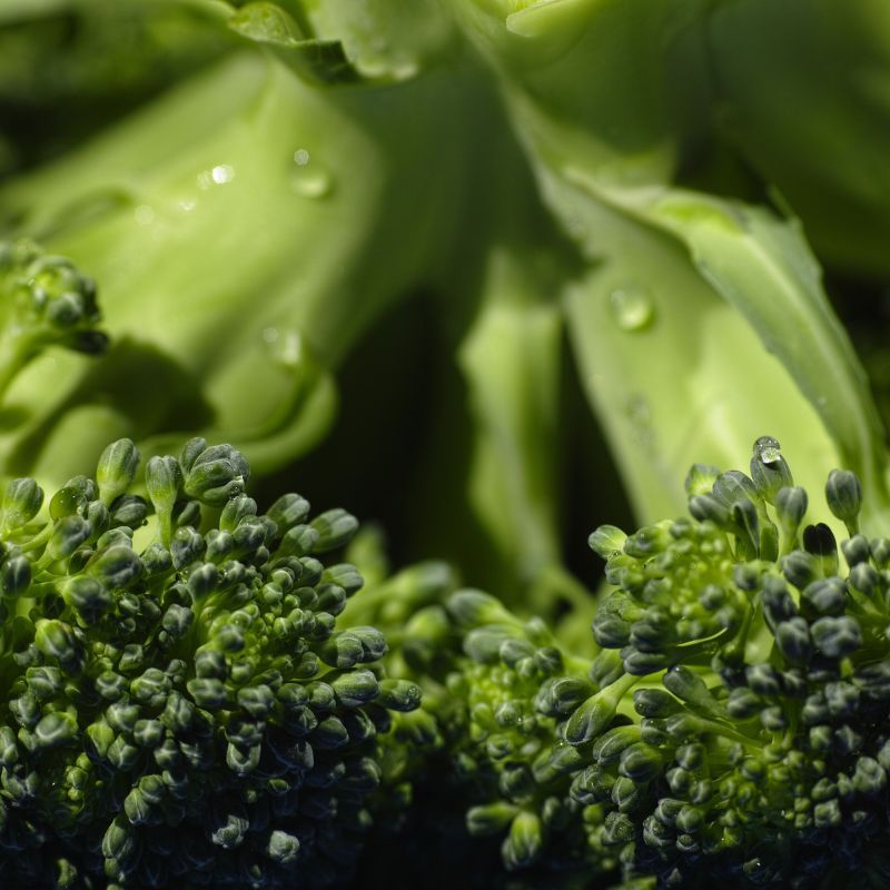Broccoli 