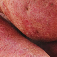 Sweet Potato