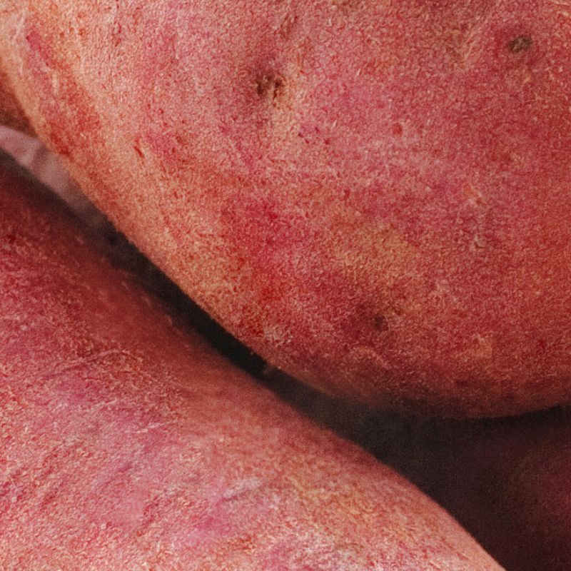 Sweet Potato
