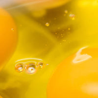 Egg Yolk