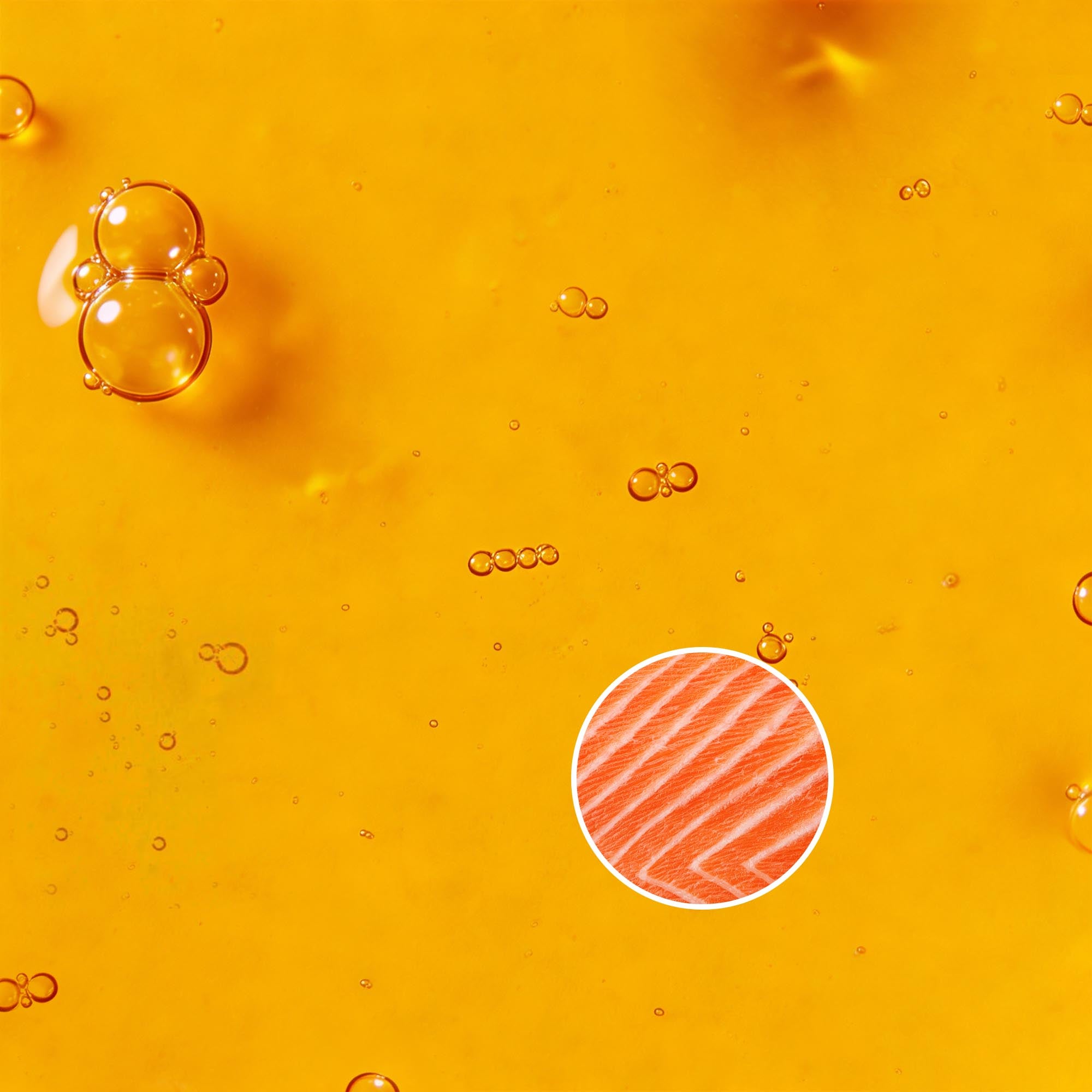 Norwegian Salmon Oil | Omega-3 Supplement · For Dogs & Cats