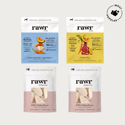 The RAWR Duos - 2 Meals + 2 Treats