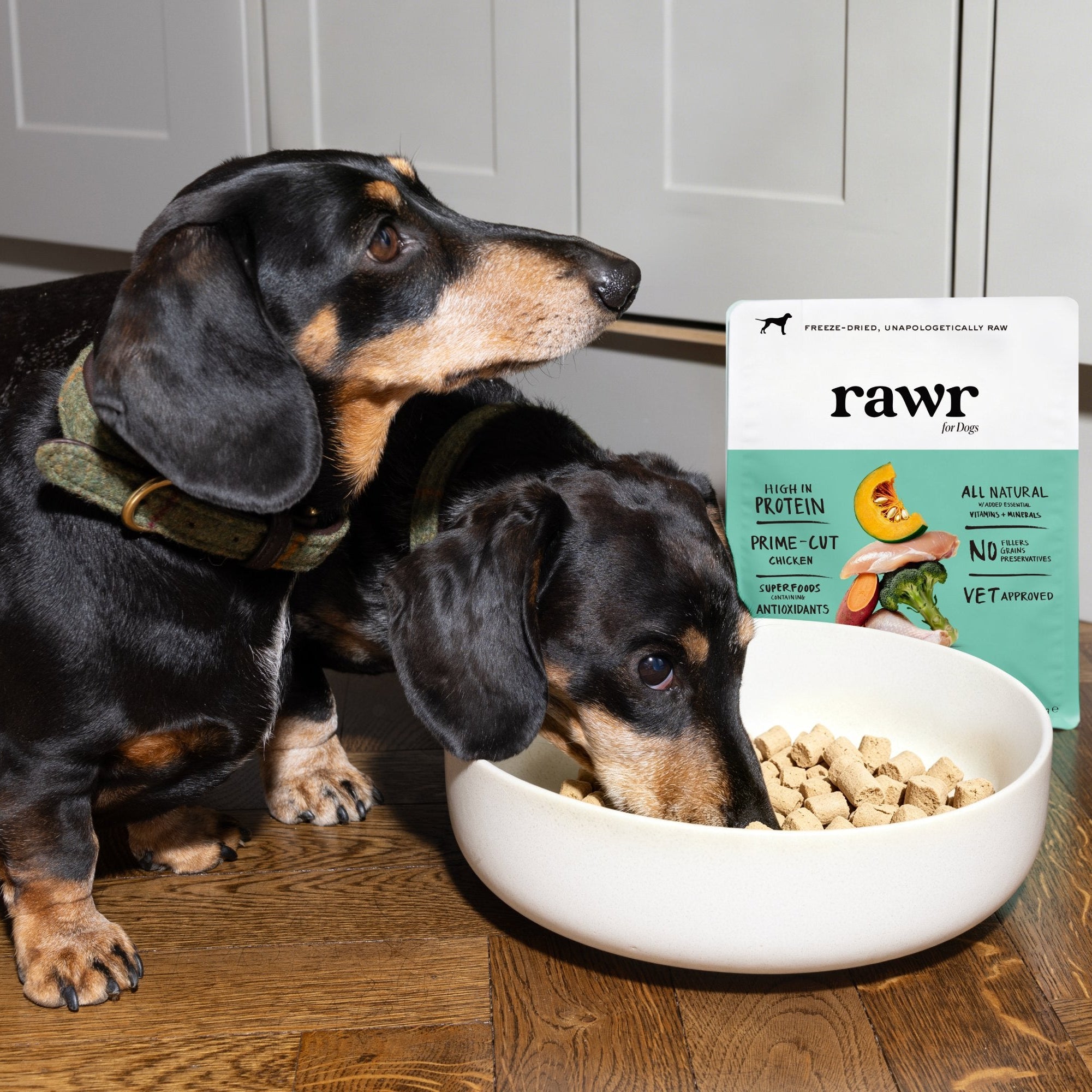 Gourmet Chicken with Superfoods | Freeze-Dried Raw · Complete Dog Food
