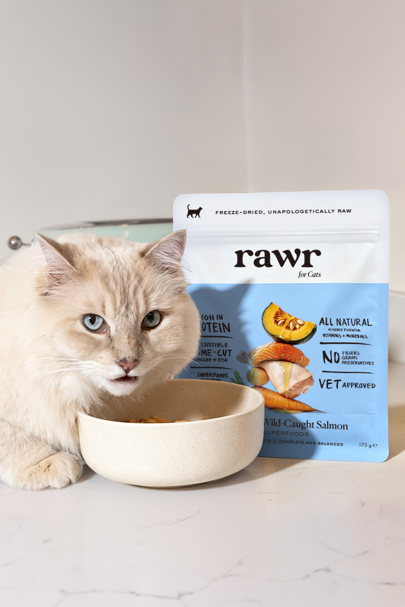Chicken & Wild-Caught Salmon with Superfoods | Freeze-Dried Raw · Complete Cat Food