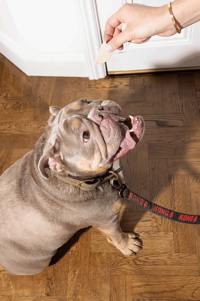 100% Duck Breast | Freeze-Dried Treats · For Dogs & Cats