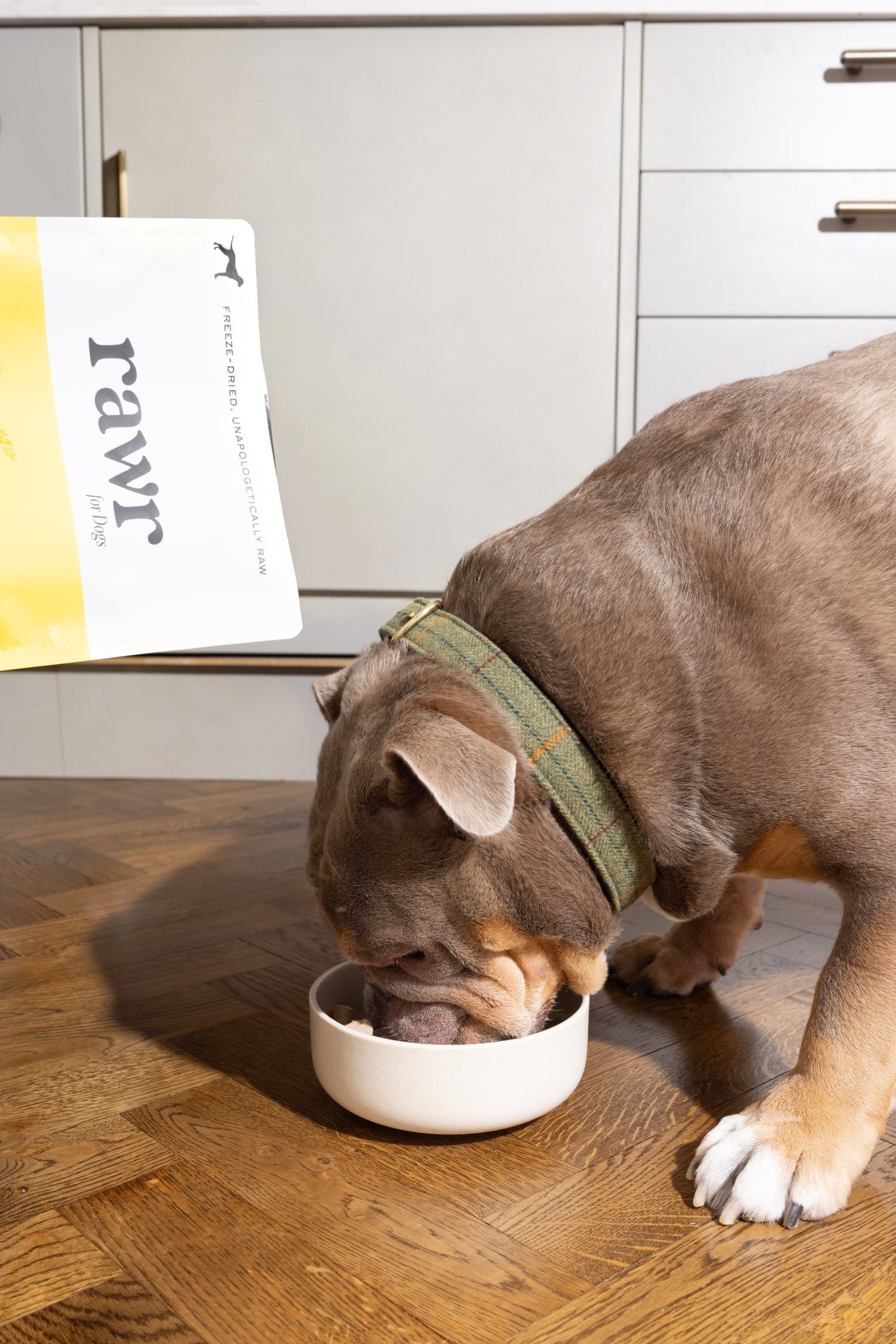 Gourmet Beef with Superfoods | Freeze-Dried Raw · Complete Dog Food