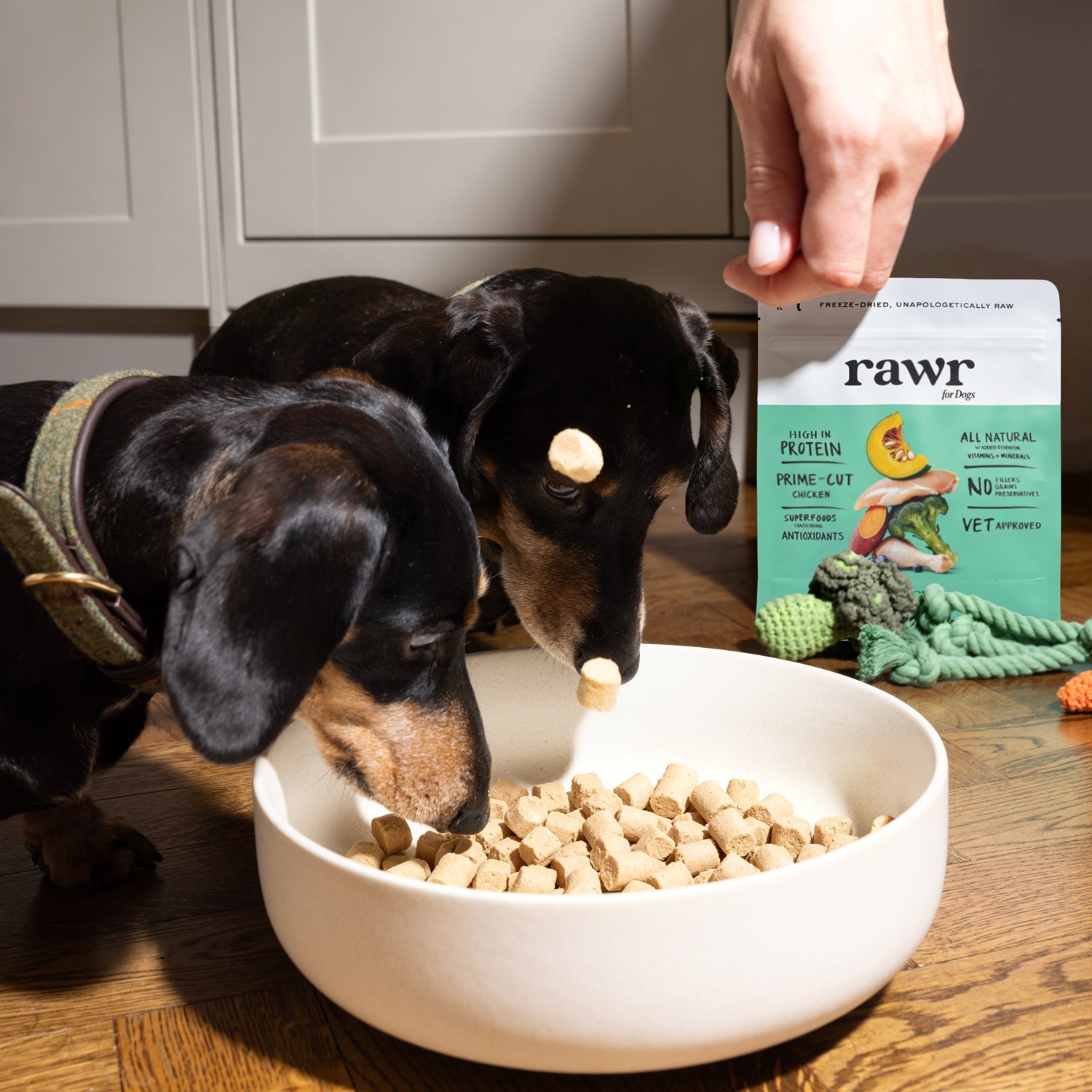 Gourmet Chicken with Superfoods | Freeze-Dried Raw · Complete Dog Food