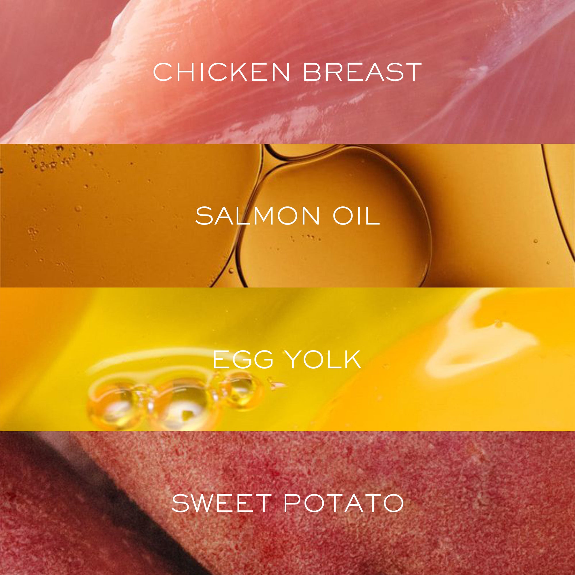 Gourmet Chicken with Superfoods | Freeze-Dried Raw · Complete Cat Food