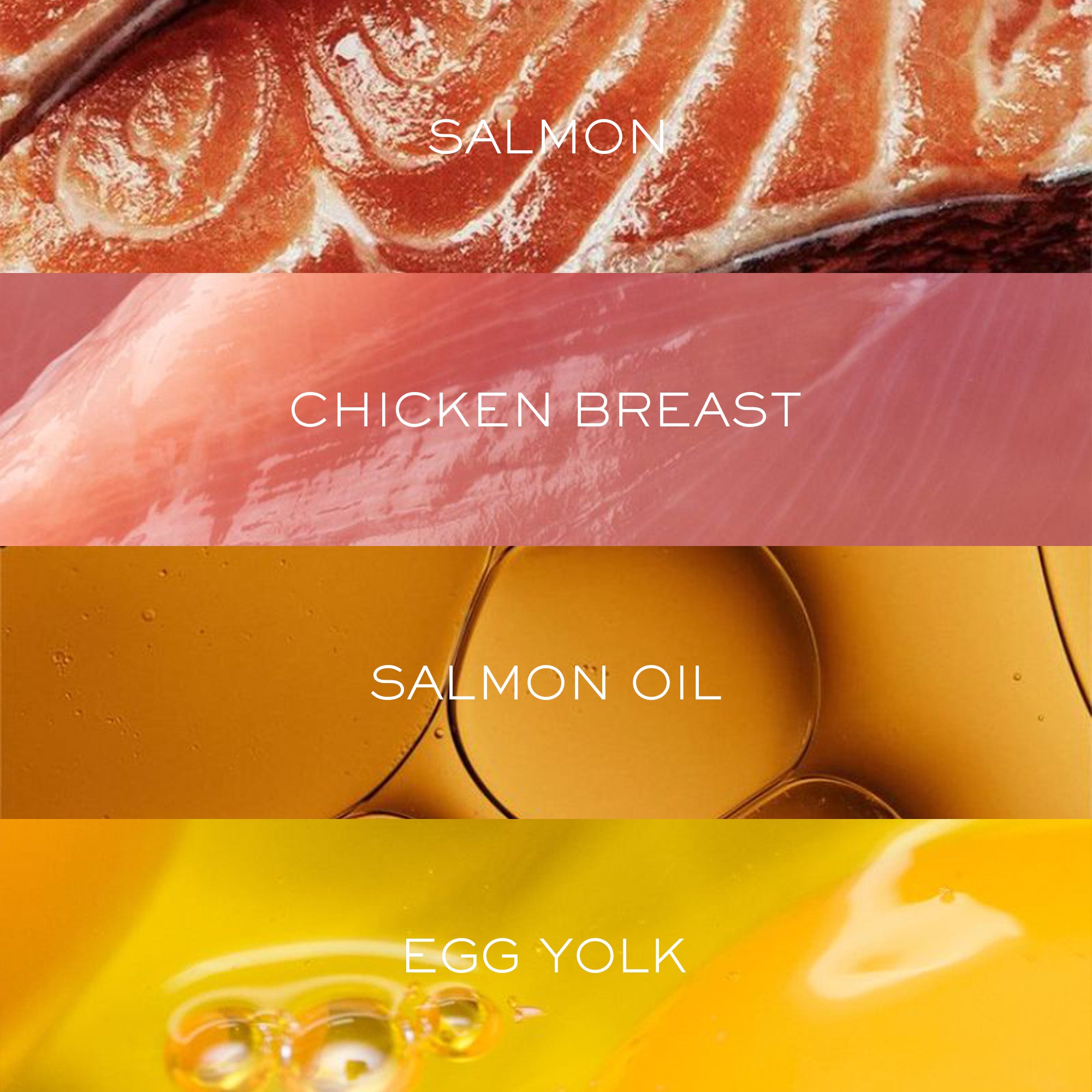 Chicken & Wild-Caught Salmon with Superfoods | Freeze-Dried Raw · Complete Cat Food