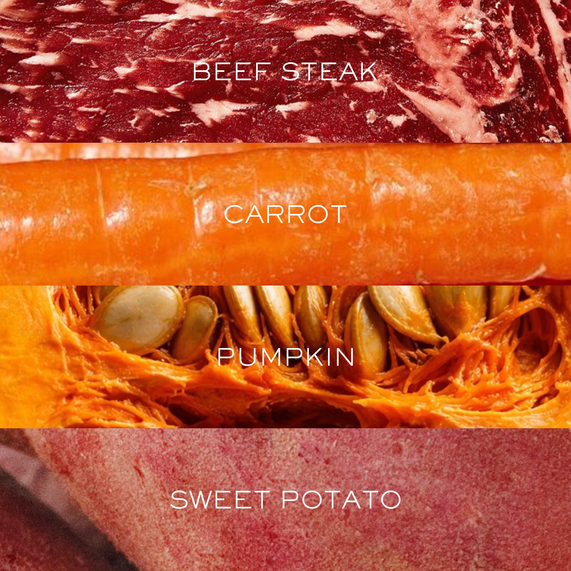 Gourmet Beef with Superfoods | Freeze-Dried Raw · Complete Dog Food
