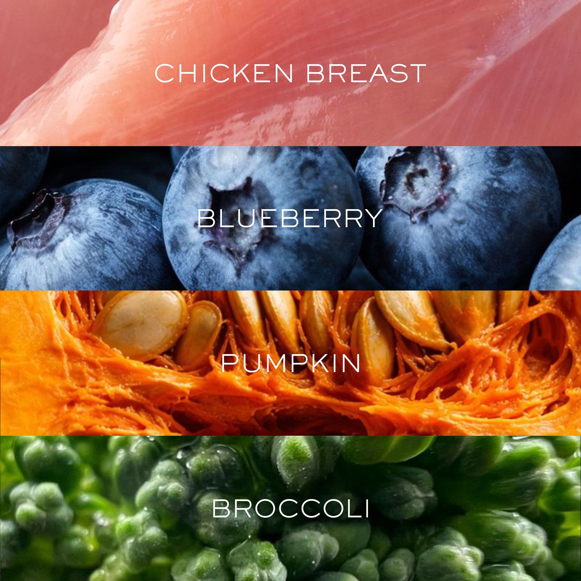 Gourmet Chicken with Superfoods | Freeze-Dried Raw · Complete Dog Food