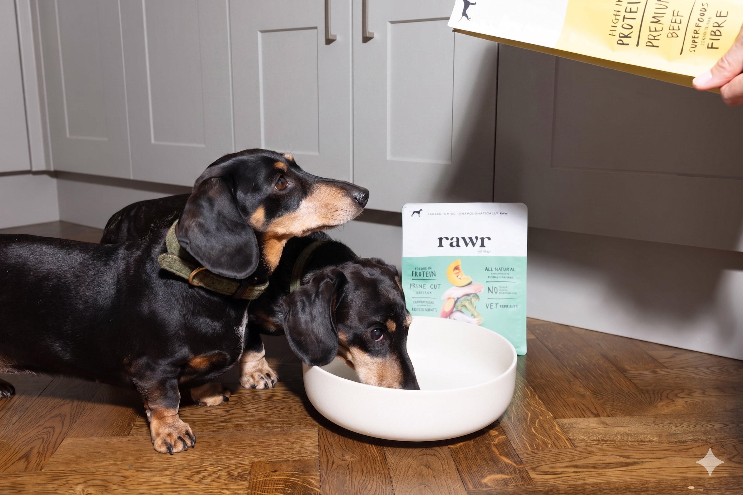 Gourmet Chicken with Superfoods | Freeze-Dried Raw · Complete Dog Food
