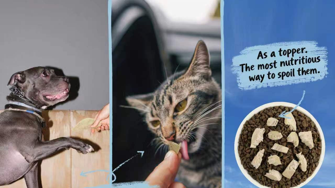100% Duck Breast | Freeze-Dried Treats · For Dogs & Cats