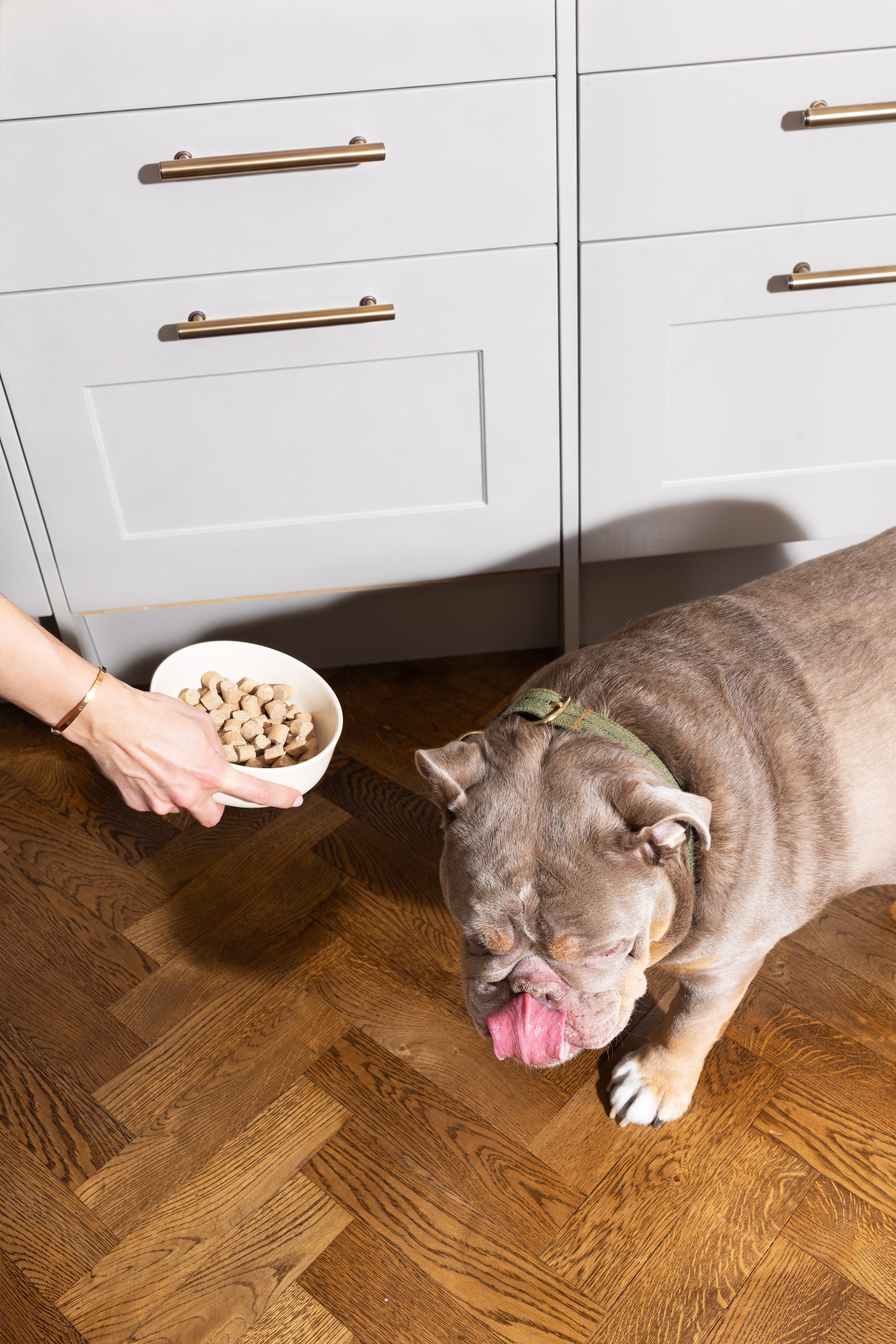 Gourmet Beef with Superfoods | Freeze-Dried Raw · Complete Dog Food