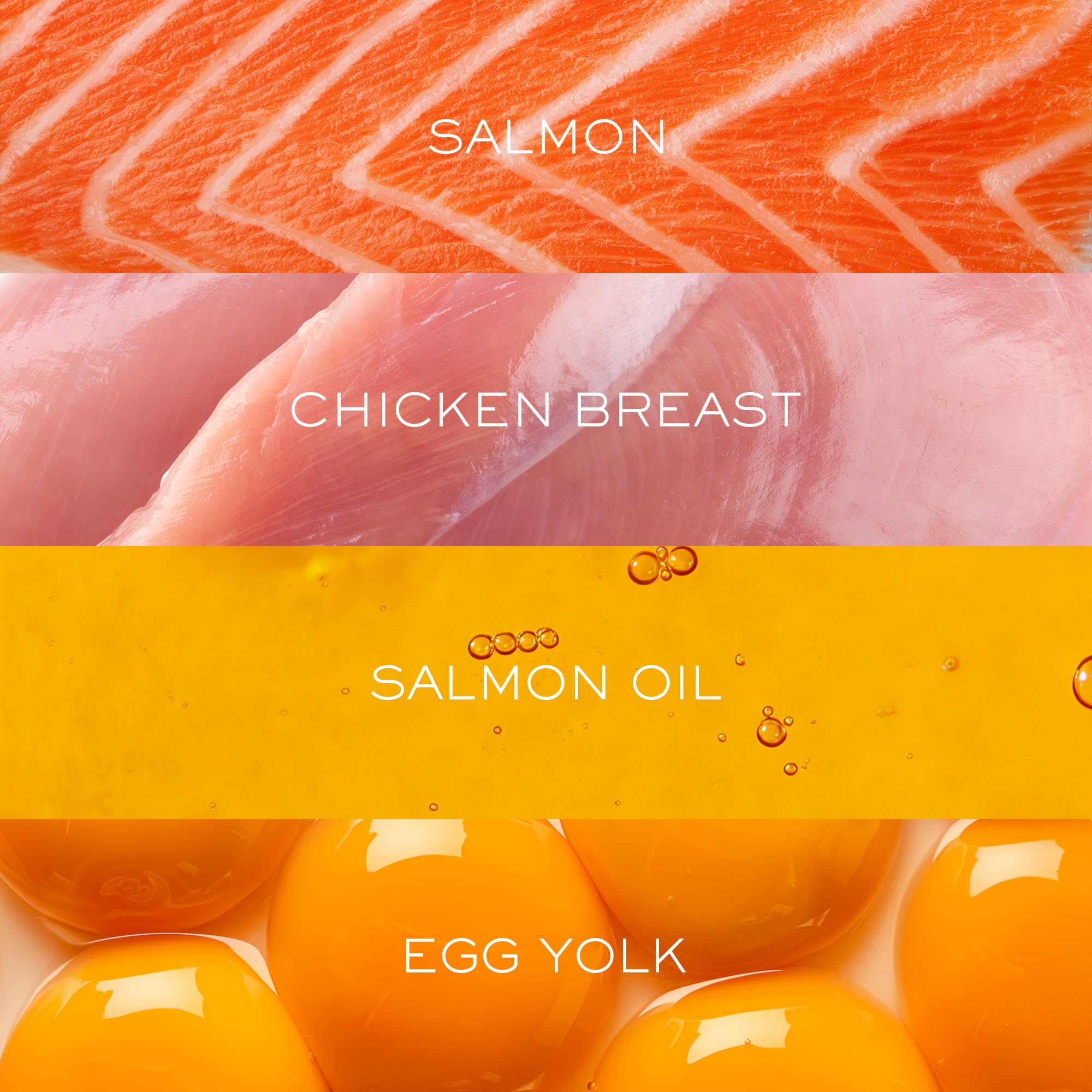 Gourmet Chicken & Salmon with Superfoods | Freeze-Dried Raw · Complete Cat Food