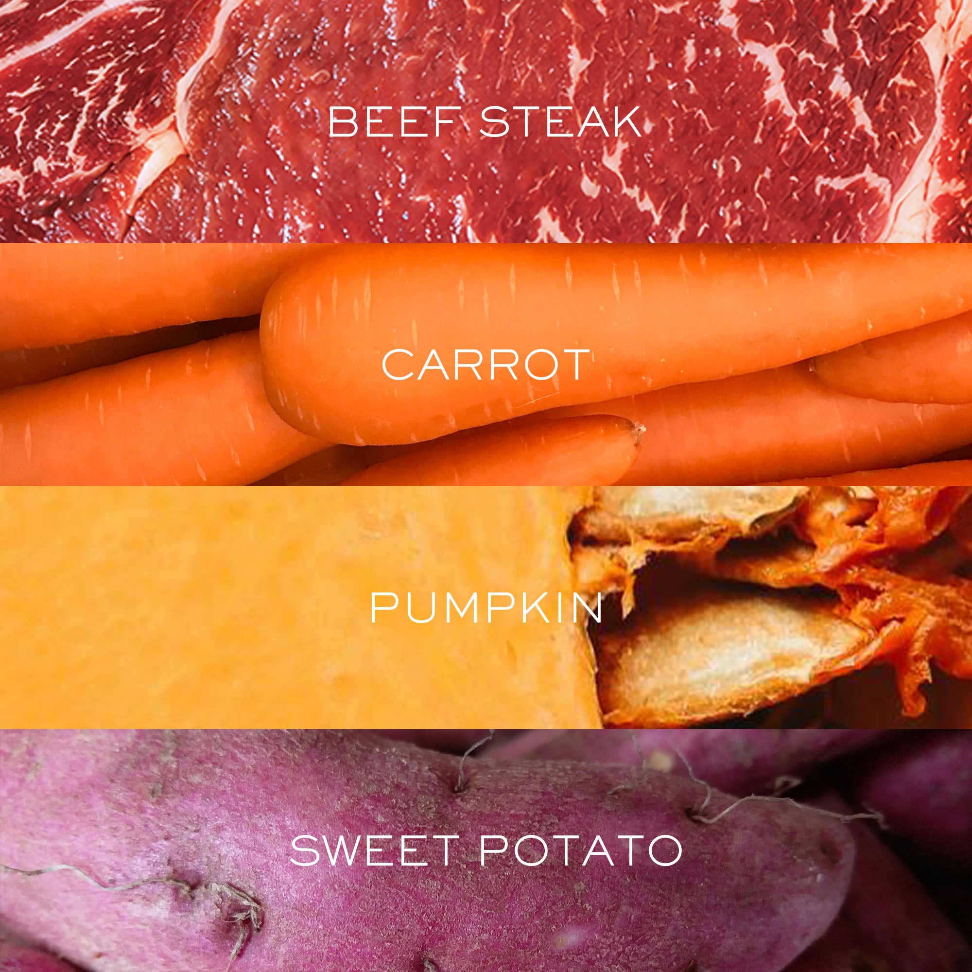 Gourmet Beef with Superfoods | Freeze-Dried Raw · Complete Dog Food