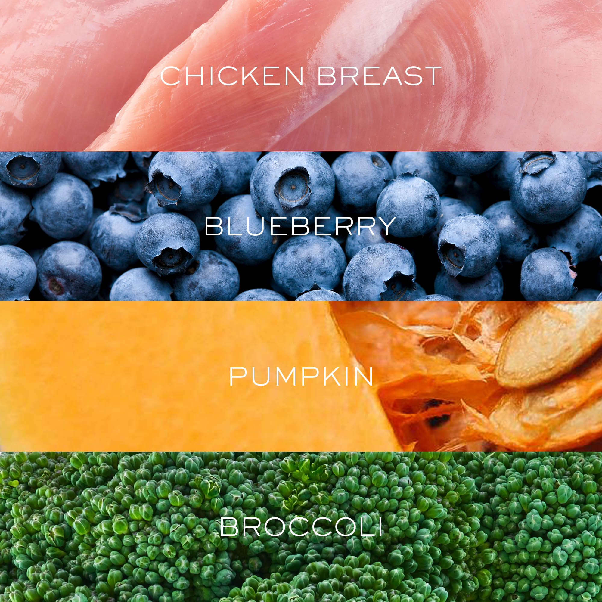 Gourmet Chicken with Superfoods | Freeze-Dried Raw · Complete Dog Food