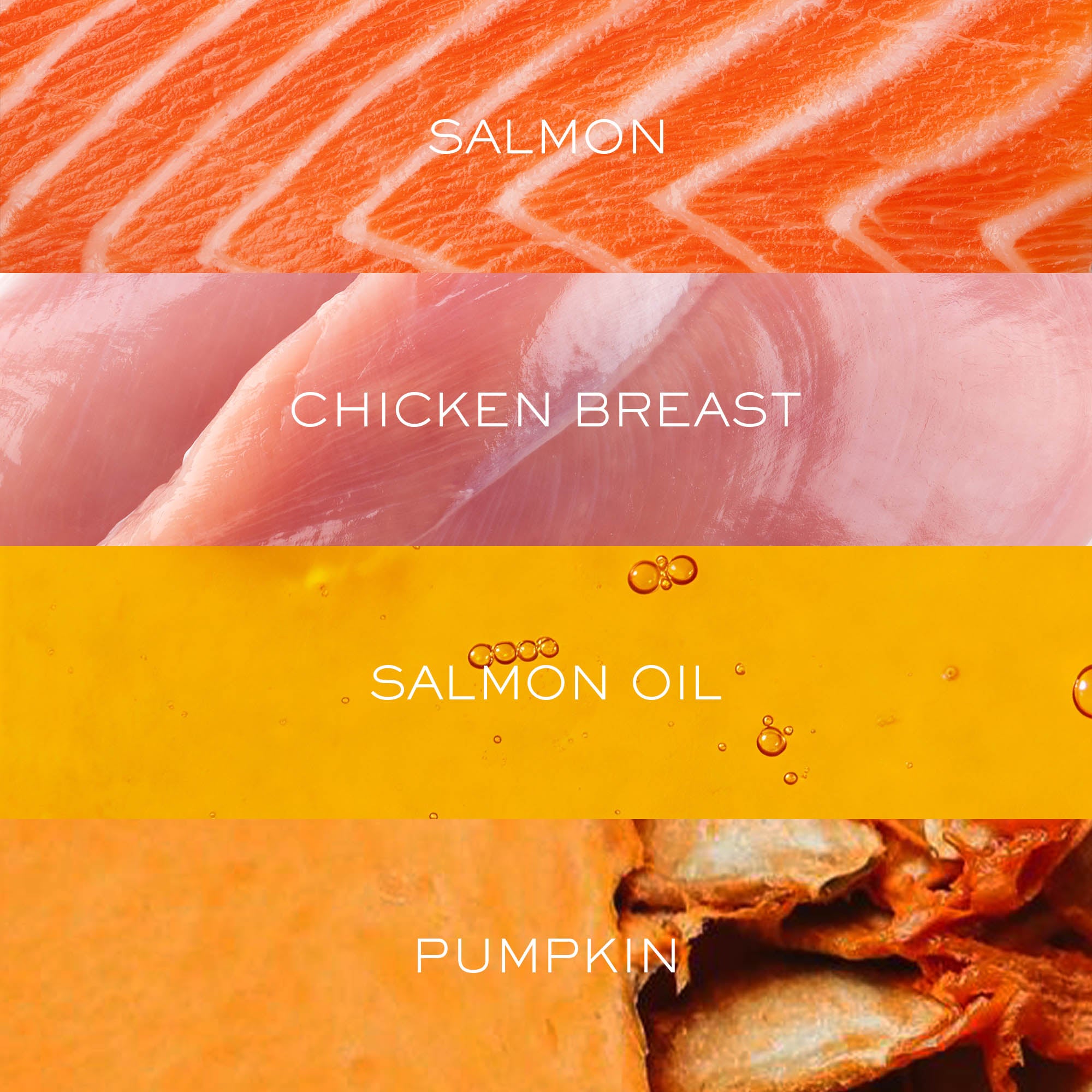 Gourmet Chicken & Salmon with Superfoods | Freeze-Dried Raw · Complete Dog Food