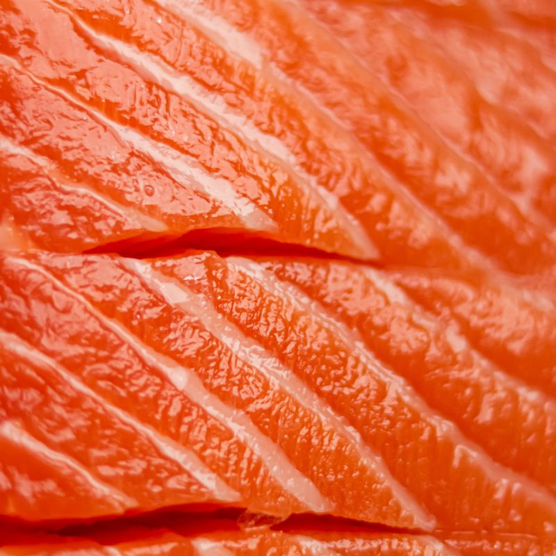 Wild-Caught Salmon