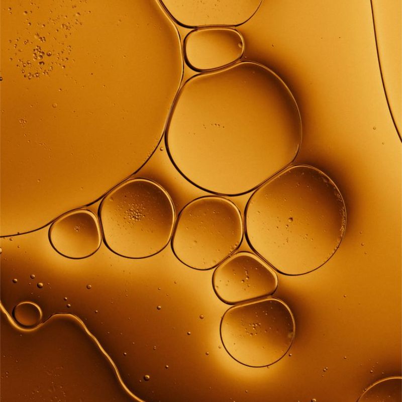 Salmon Oil 