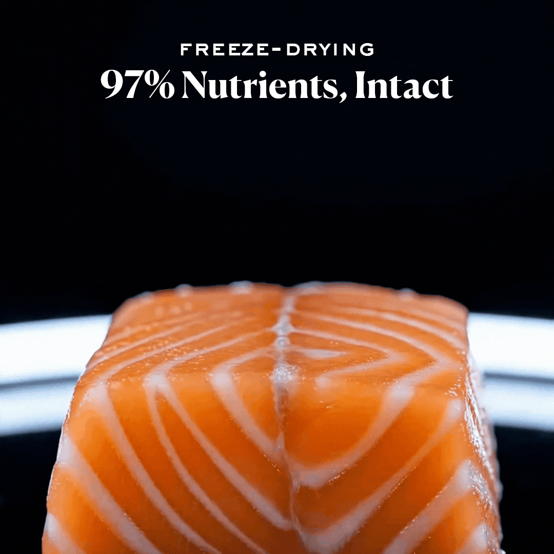 Chicken & Wild-Caught Salmon with Superfoods | Freeze-Dried Raw · Complete Dog Food