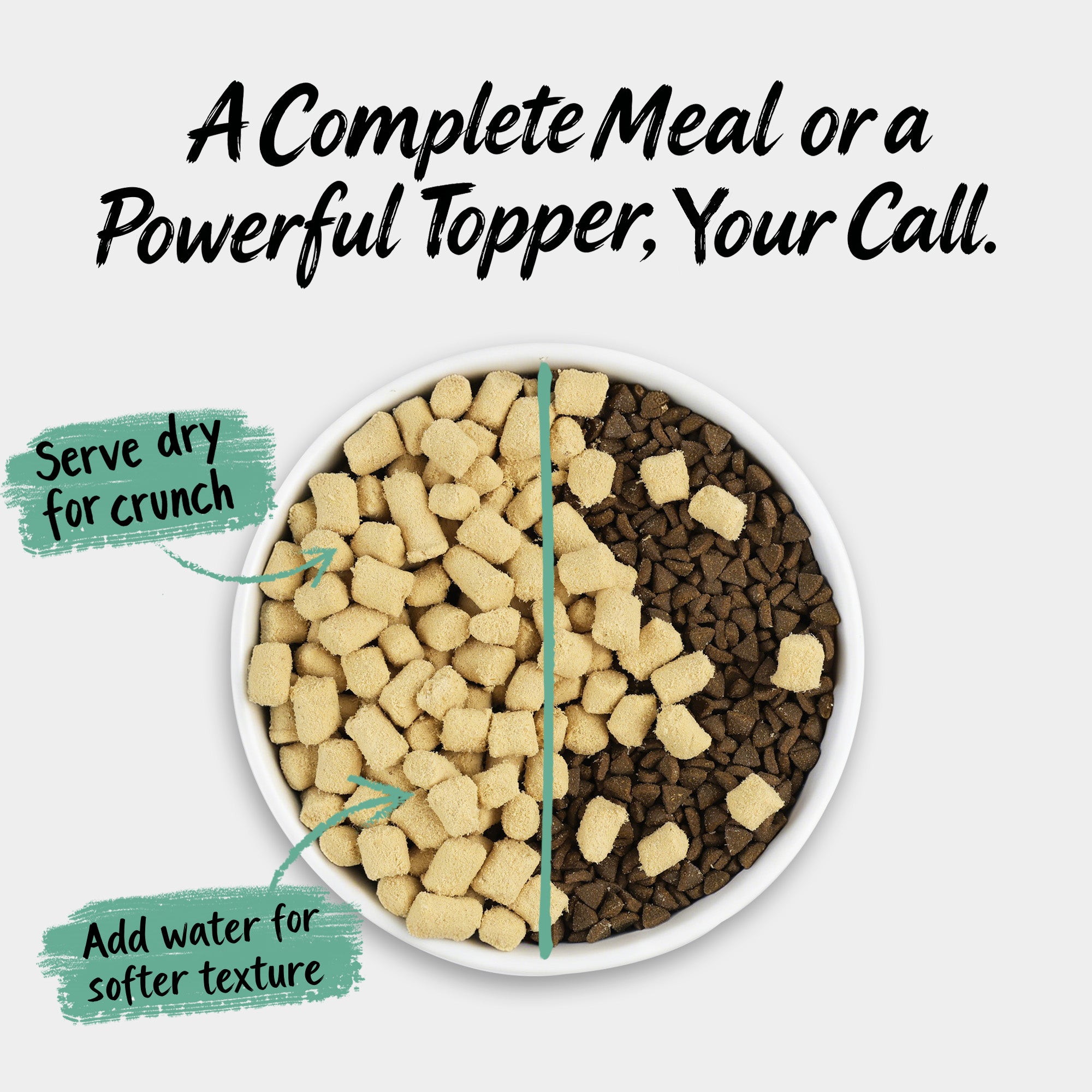 Gourmet Chicken with Superfoods | Freeze-Dried Raw · Complete Cat Food