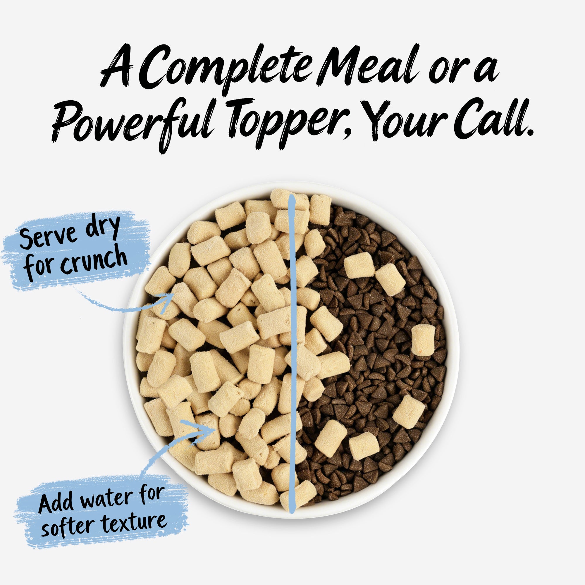 Chicken & Wild-Caught Salmon with Superfoods | Freeze-Dried Raw · Complete Cat Food