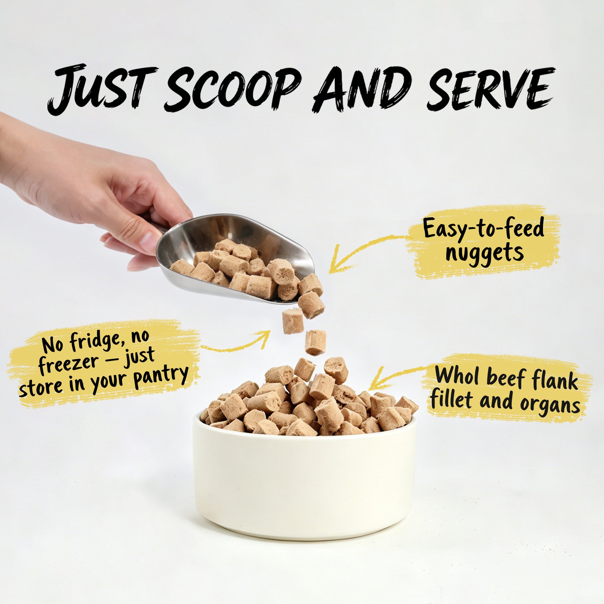 Gourmet Beef with Superfoods | Freeze-Dried Raw · Complete Dog Food