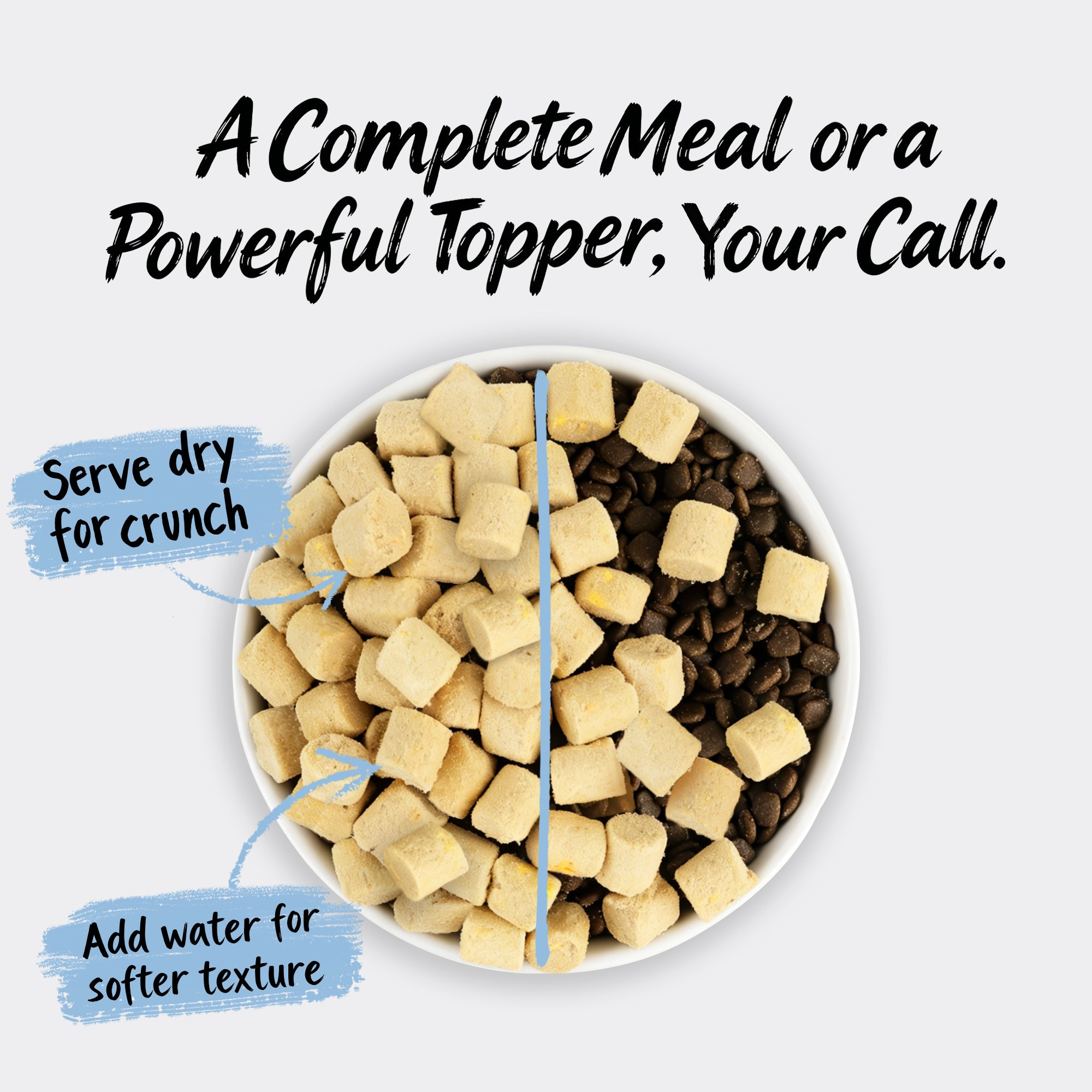 Chicken & Wild-Caught Salmon with Superfoods | Freeze-Dried Raw · Complete Dog Food